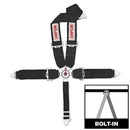 Simpson Camlock Driver Restraint Systems 29108BK