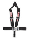 Simpson Camlock Driver Restraint Systems 29108BK