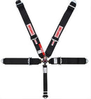 Simpson Camlock Driver Restraint Systems 29110BKL1X