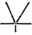 Simpson Camlock Driver Restraint Systems 29400BKL1X