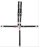 Simpson D3 Off-Road Restraint Systems 3B33PIKX