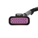 Holley Sniper 2 EFI PDM Main Harnesses 558-190