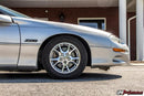 UMI Performance Lowering Springs 2061
