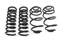 UMI Performance Lowering Springs 4050