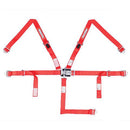 RaceQuip Jr. Dragster and Quarter Midget 5-Point Harnesses 709019RQP