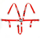 RaceQuip Jr. Dragster and Quarter Midget 5-Point Harnesses 709019RQP