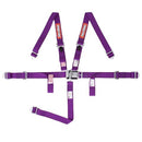 RaceQuip Jr. Dragster and Quarter Midget 5-Point Harnesses 709059RQP