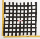 RaceQuip SFI Ribbon Window Nets 726009RQP