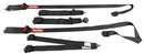 RaceQuip Camlock Harnesses 746006RQP