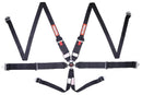 RaceQuip Camlock Harnesses 747007RQP