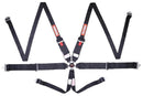 RaceQuip Camlock Harnesses 747007RQP