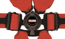 RaceQuip FIA Camlock Harnesses 855005RQP