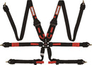RaceQuip FIA Camlock Harnesses 855005RQP