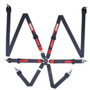 RaceQuip 6-Point All 2 in. Harnesses 856006RQP