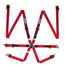 RaceQuip 6-Point All 2 in. Harnesses 856016RQP