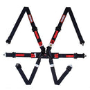 RaceQuip 6-Point All 2 in. Harnesses with Euro Sub Belts 857007RQP