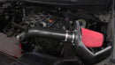 Volant APEX Series Intake Systems 319850D