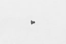 Wilwood Replacement Bolts 230-10419
