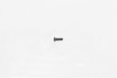 Wilwood Replacement Bolts 230-8671