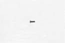 Wilwood Replacement Bolts 230-8671