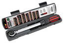 Performance Tool Torque Wrenches M196