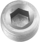 Redhorse Performance 932-02-5 -02 (1/8") NPT Socket Head Pipe Plug - Clear - 2/Pkg