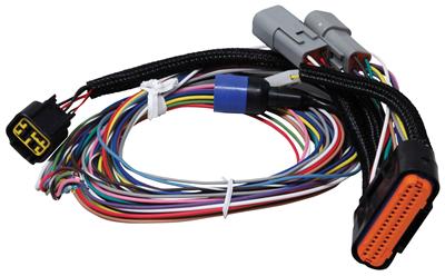 MSD 7780 Wiring Harness Replacement Ignition Timing Controller